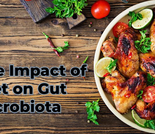 The Impact of Diet on Gut Microbiota