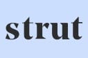 Strut Health - 15% off Now