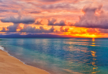 6 Ways to Stay Active at The Beach This Summer